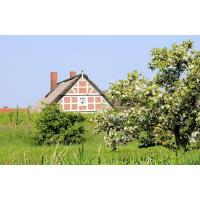 2750_7472 Wohnhaus hinterm Deich am Lüheufer - Obstbaum auf der Wiese. | Fruehlingsfotos aus der Hansestadt Hamburg; Vol. 2